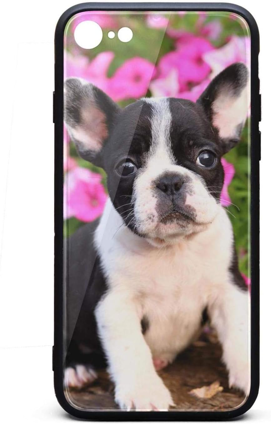 french bulldog accessories amazon