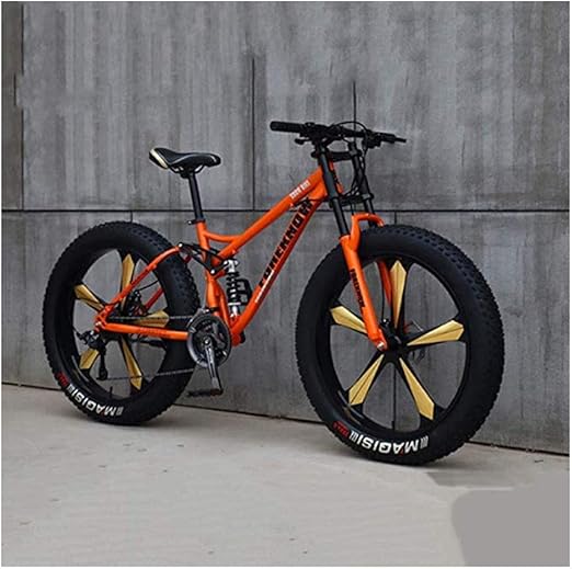 large mountain bike