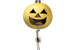 DAERKY Jumping Spider Hide, A Real Shelter Made of Natural Materials，Magnetic Hidden Jumping Spider Habitat,Handmade Spider Enclosure Accessories, Jumping Spider Enclosure (Option 2)