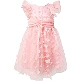 Meilleur moment Girls Dress Pink Feather Decor Party Dress Ruffle Sleeve Tuller Dresses for Girls Festival
