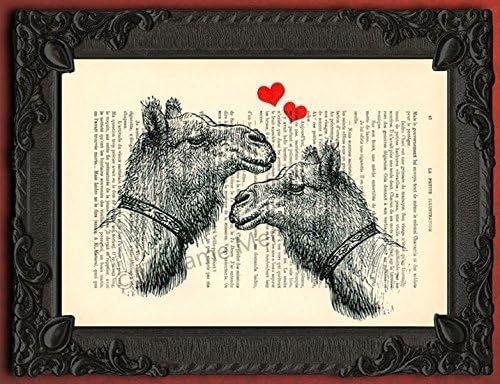Camel couple in love dictionary art print dromedary head poster wall decor