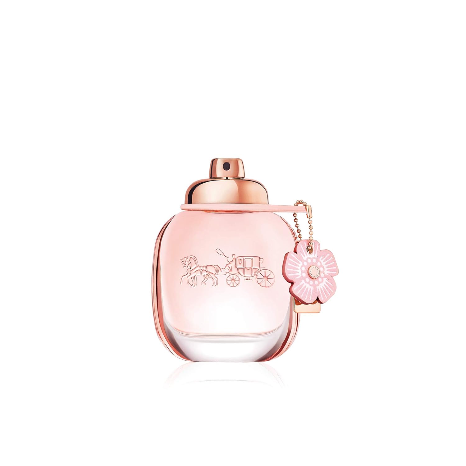 The 10 Best Coach Signature Fragrance Eau De Toilette