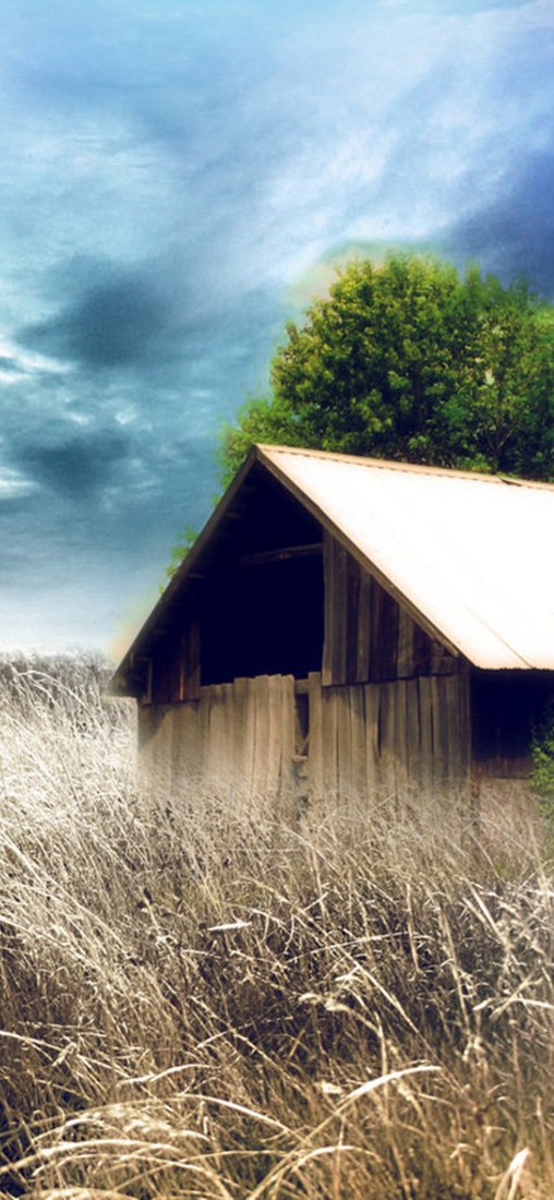 PeelitStickit, Beautiful Nature Wall Murals, ID-1755, vinyl