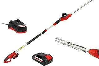 Grizzly Akku-Teleskop-Heckenschere AHS 2020 T mit 20 V Akku und Schnellladegerät - 16 mm Schnittstärke, robustes Metallgetriebe, mit Teleskopstiel bis max. 2,7 m Länge