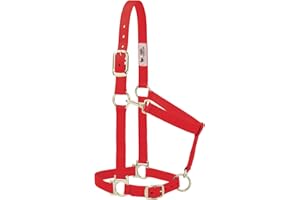 Weaver Leather Nylon Horse Halter, Padded and Adjustable, Chin and Throat Snap Hook Halters for Horses, Brass Plated Halters for Training