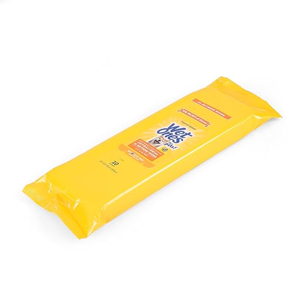 WET ONES FOR PETS MULTIPURPOSE DOG WIPES WITH ALOE VERA, TROPICAL SPLASH SCENT – EXTRA LARGE PET BATHING WIPES WITH WET LOCK SEAL FOR DOG PAWS & ALL OVER USE, 10 COUNT