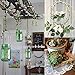 ElaDeco 216 Ft Artificial Vines Garland Leaf Ribbon Greenery Foliage Rattan Greek Wild Jungle Decorative Accessory Wedding Party Garden Craft Wall Decoration