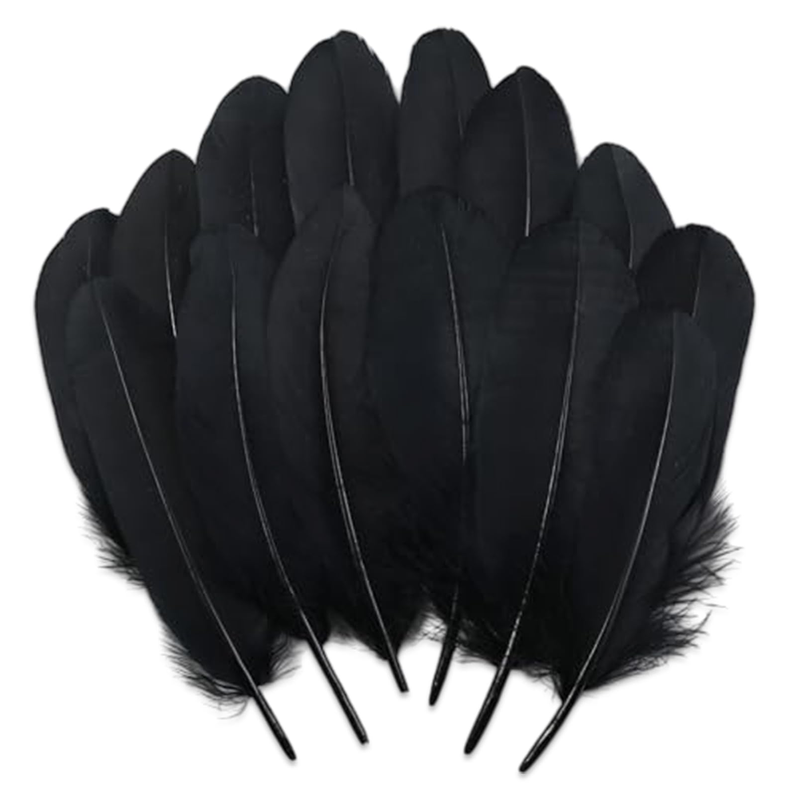 Photo 1 of 100 Pcs Goose Feathers Natural Bulk 6-8 inch 15-20cm Crafts DIY Wedding Halloween Christmas Party Angel Wings Dream Catcher Decoration Supplies (Black)