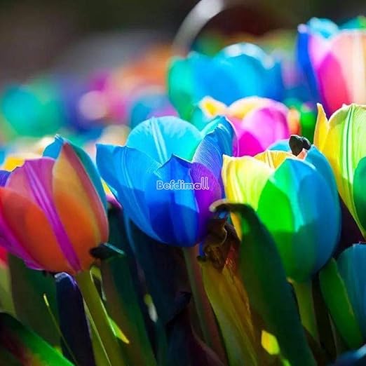 Kisshes Giardino 100 Pezzi Bulbi Di Tulipano Semi Di Fiori Bulb Semi Di Fiori Colorati Tulipani Bonsai Hardy Perenne Amazon It Giardino E Giardinaggio