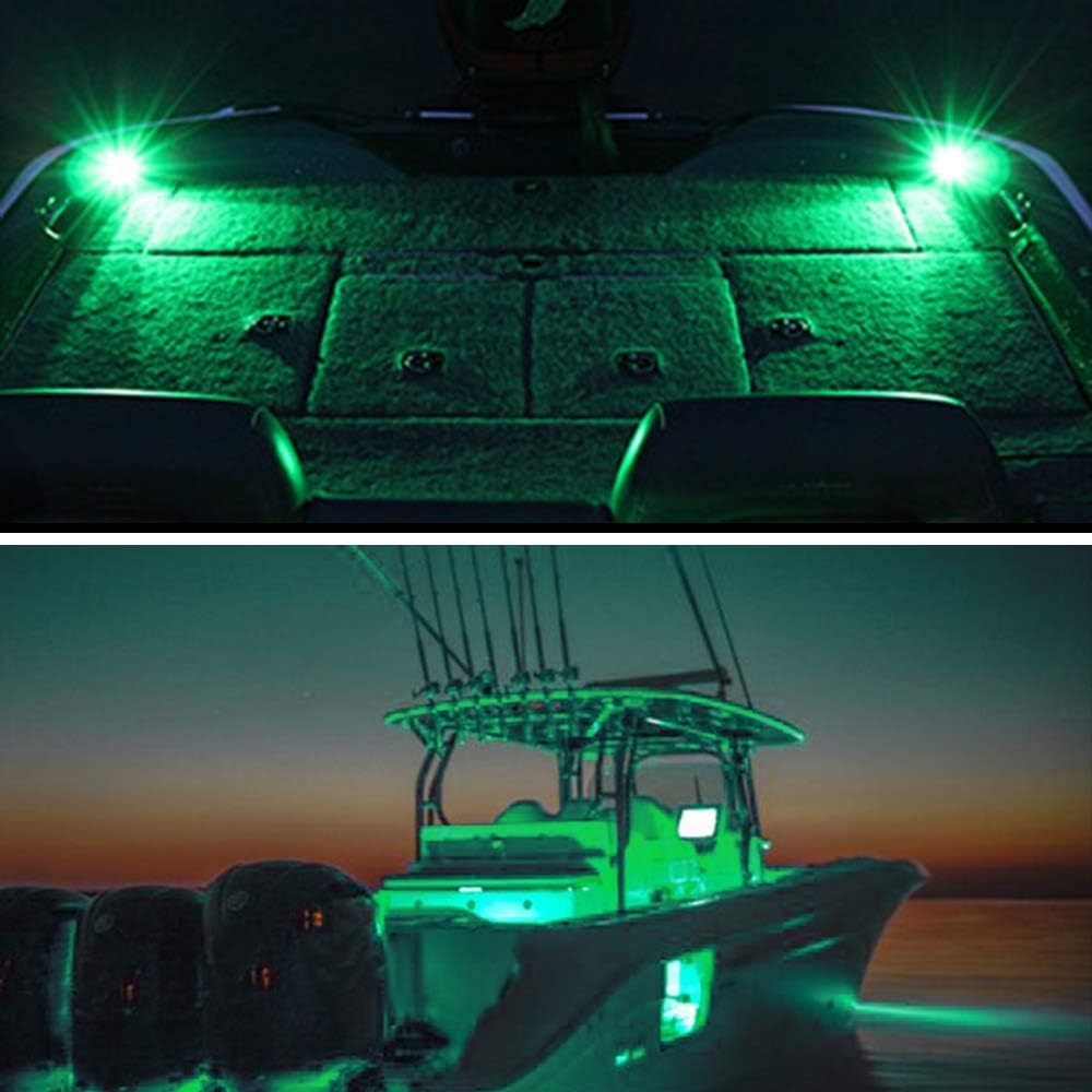 MNJ MOTOR 6pcs Marine Boat Fishing Lights, 12V Waterproof Utility Led Interior Light - Boat Deck Courtesy Transom Cockpit Light For Yacht Fishing Pontoon Boat Sailboat Kayak Bass Boat Vessel-Green: Automotive