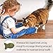 Feline Dental Treats — Tasty and Crunchy Cat Dental Treats Grain Free — Natural Dental Treats to Clean Cat Teeth, Freshen Cat Breath, and Reduce Plaque and Tartar Buildup — Chicken Treats, 3 oz