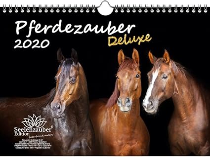 Immagini Di Natale Con Cavalli.Pferdezauber Calendario 2020 Formato A4 Motivo Cavalli Set Regalo Con 1 Biglietto Di Auguri E 1 Biglietto Di Natale Versione In Lingua Tedesca Amazon It Cancelleria E Prodotti Per Ufficio