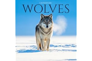 Wolves 2026 Calendar: Wild Beauty and Majestic Packs