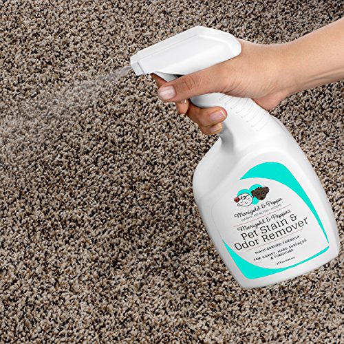 Marigold & Peppa Professional Strength Stain and Odor Eliminator