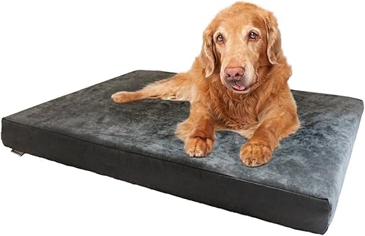 dogbed4less orthopedic gel cooling memory foam dog bed