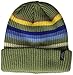 Pendleton Men's National Park Stripe Beanie