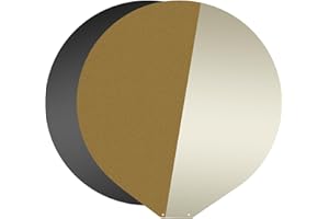 RugooSpink Flsn T1 Build Plate T1 Pro/SR/QQS Pro Plate Round 270MM Diameter Platform Textured +Smooth PEI Build Sheet Removable Spring Steel Sheet Heated Bed for FLSUN 3D Printer (with Magnetic Base)