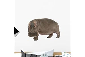 Wallmonkeys Wall Decals Hippopotamus Amphibious (30 Years) Peel and Stick Wall Decal, 18 x 12