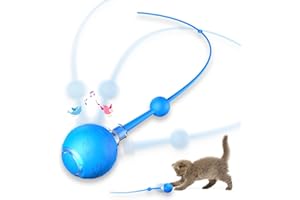 MORHANDISN Interactive Cat Toy for Indoor Cats,Automatic Electric Self Rotating Ball with Chirping, Led Light and Long Tail for Motion Activated, Smart Spinning Ball for Fun Exercise, Blue