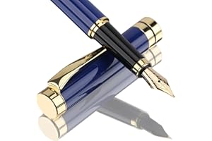 Tiankool Luxury Fountain Pen,Fine Nib, Exquisite Pen Gift Set for Men&Women-Includes 10 Ink Cartridges&Ink Converter- Nice Pens - Blue