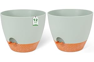 GARDIFE 12 inch planters, Plant Pots,Self Watering Pots, 2 Pack Large Plastic Flower pots with Deep Reservior and High Drainage Holes for Indoor Outdoor Plants and Flowers, Green