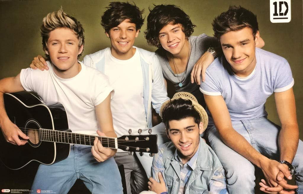 Pyramid America One Direction Guitar Music Cool Wall Decor Art Print Poster 34x22