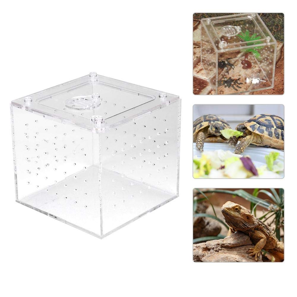 Acrylic Reptile Feeding Box and Breeding Terrarium - Cricket Keeper Insect House for Snakes Lizards Chameleons Frogs Crickets