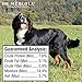 Dr. Mercola Dental Chew Bones - 12 Pack - Large Dogs 25 lbs and Up - Helps Clean Teeth and Freshen Breath - A Completely Digestible Tasty Oral Care Treat for Dogs