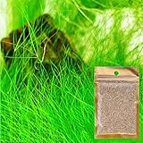 Patgoal Aquarium Grass Seeds Water Aquatic Plant Seeds Family Easy Plant Seeds For Decorate The Aquarium