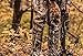 Wicked Ridge by TenPoint Invader X4 Crossbow Package with Multi-Line Scope, Quiver, Arrows, and ACUdraw 50 (WR18005-5531), Camo