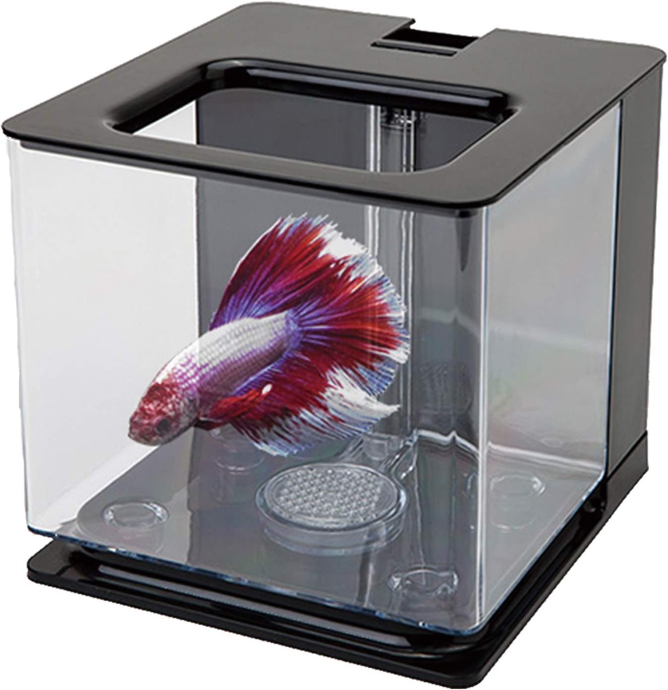 Betta Fish Tank Aquarium, Easy Nano Fish Tank Easy to