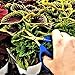 Happy Hydro Trimming Scissors - Straight Tip - 40mm Titanium Blades - Ergonomic Comfort Grip Handles - 1 Pack