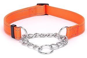 haoyueer Martingale Dog Collar with Stainless Steel Chain and Leash Set, Martingale Collar with Reflective, 5FT Double Handle Dog Leash Padded, Adjustable for Medium Large Dogs (Orange Collar, M)