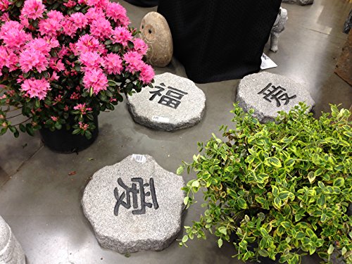 ROJI Hand Carved Granite Duck