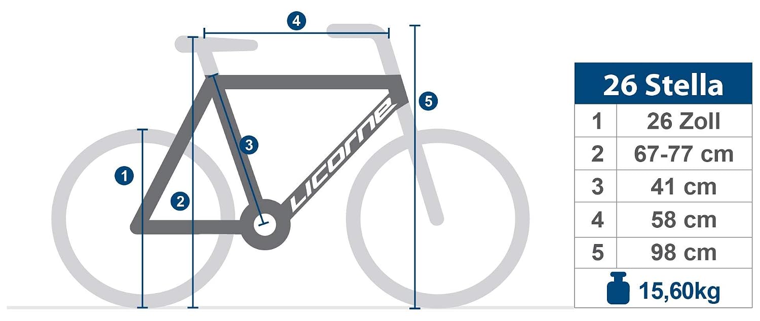 per Bambine e Ragazze Cambio Shimano a 21 velocità Bicicletta da Donna  Licorne Bike Stella Stile Olandese Stile retrò Florenz 28 Amsterdam  Biciclette Sport e tempo libero nsb-group.com