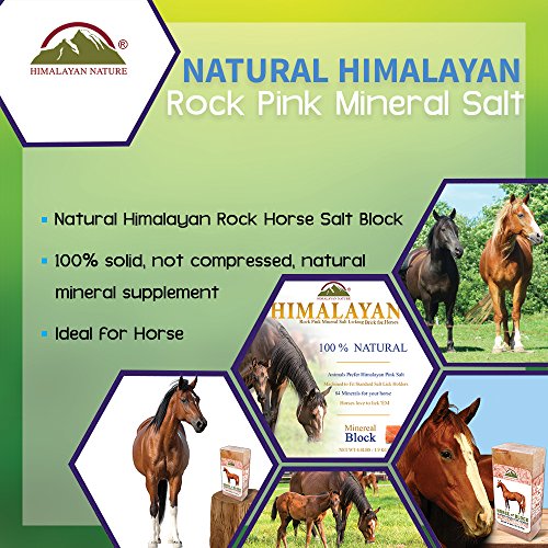 Himalayan Nature 100 Natural Himalayan Rock Salt Block Mineral Salt