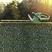 Weed Eater WE20VH 20-Volt Lithium-Ion Rechargeable Battery Powered Hedge Trimmer - 967599801