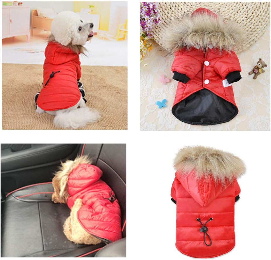 Winterjacken &amp; mäntel ABRRLO Hundebekleidung Für Kleine Hunde Haustier