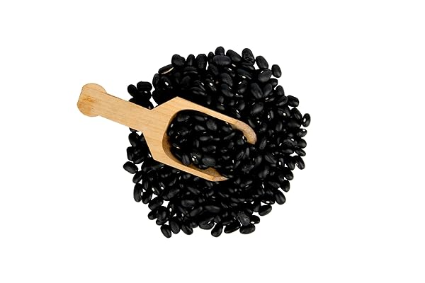 ORGANIC BLACK BEANS, PACK OF 4-16 OZ BAGS