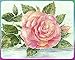 Ravensburger Aquarelle Flowers Arts & Crafts Kit