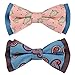 Blueberry Pet Gift Box with Pack of 2 Handmade Dog Cat Bow Tie, Paisley Fave Designer Bowtie Set, 4