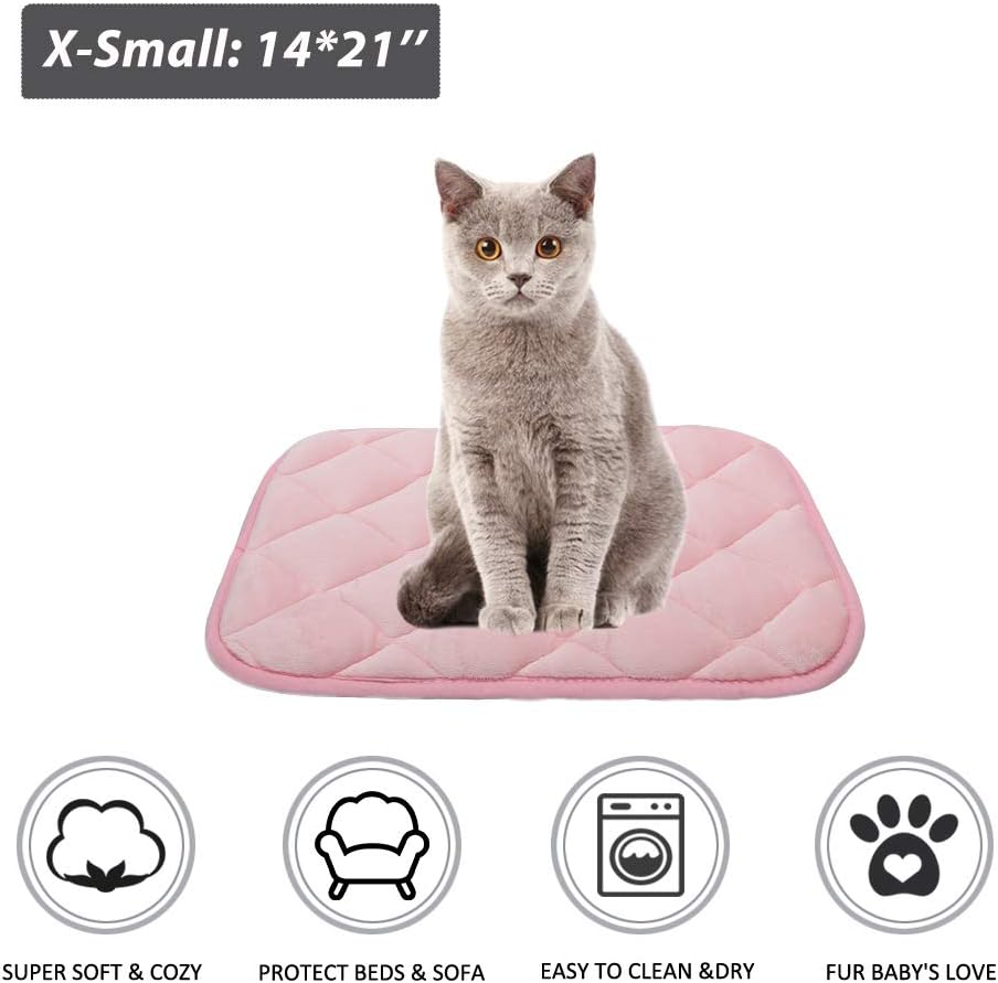 furrybaby Dog Bed Mat Soft Crate Mat with Anti-Slip Bottom Machine Washable Pet Mattress for Dog Sleeping (XS 22x13'', Pink Mat)