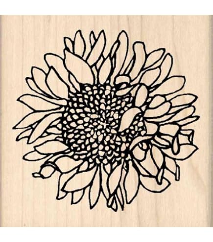 Inkadinkado Mounted Rubber Stamp 3,5  x 4 , con Motivo Mason-Barattolo, Motivo Floreale