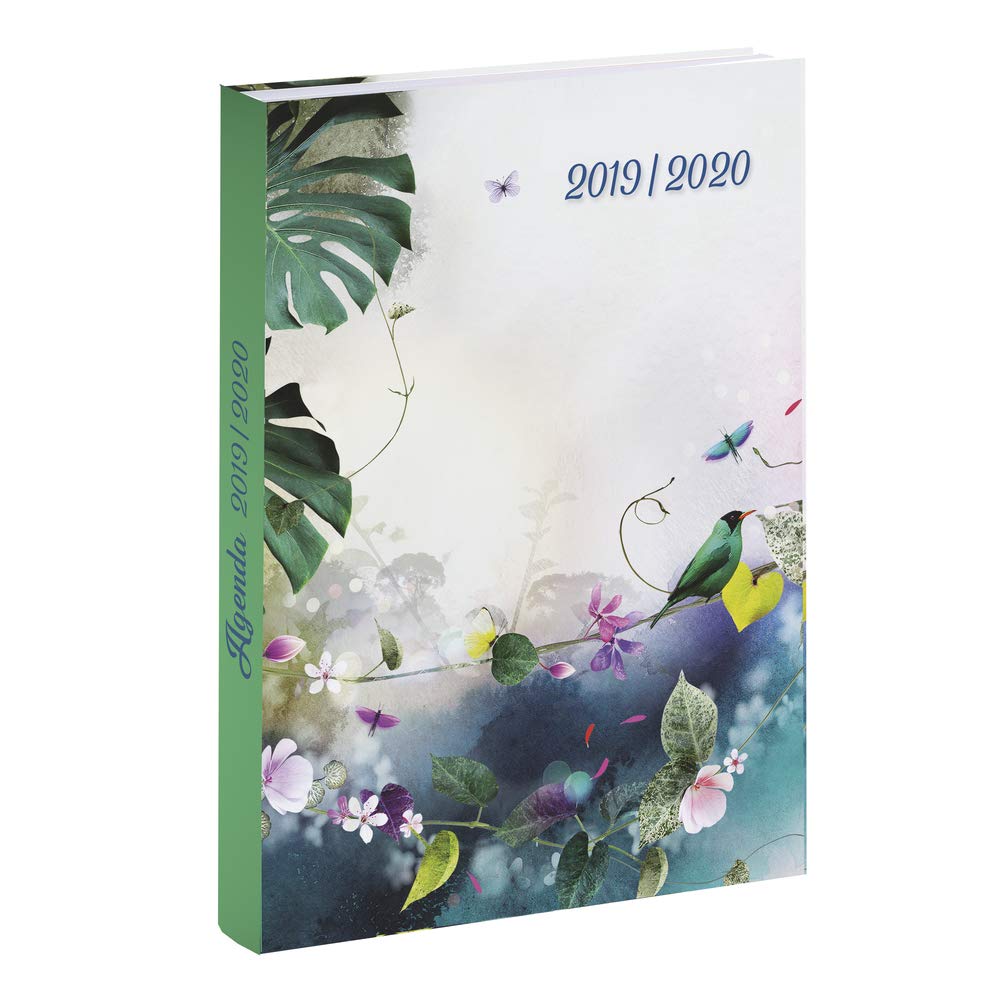 Exacompta Forum 1843511E Diary 1 Day per Page 12 x 17 cm, August 2019 to July 2020, Chacha Tocade.