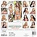 Tropic Beauty Wall Calendar (2017)