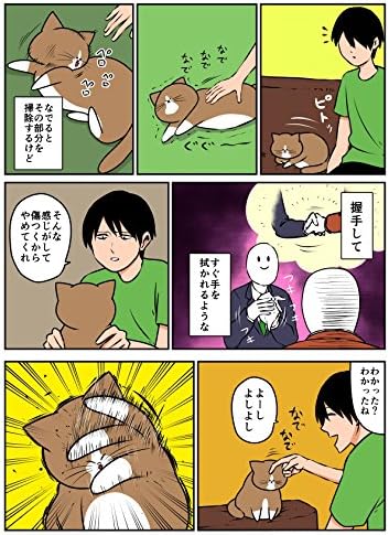 Amazon Com 鴻池剛と猫のぽんた ニャアアアン 2 Tsuyoshi Kounoike Books