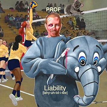 Prof Liability By Prof Amazon Com Music