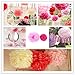 Ohuhu 5-pack Crafts Pom Poms/ Tissue Paper Flowers for Birthday Wedding Party Events Holiday Decoration and Home