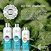 Oily Skin Control and Adult Acne Regimen. 3-Step System Includes Cleanser, Mattifying Moisturizer and Toner with Tea Tree & Salicylic Acid. Sample Set. Best Hormonal Acne Treatment.