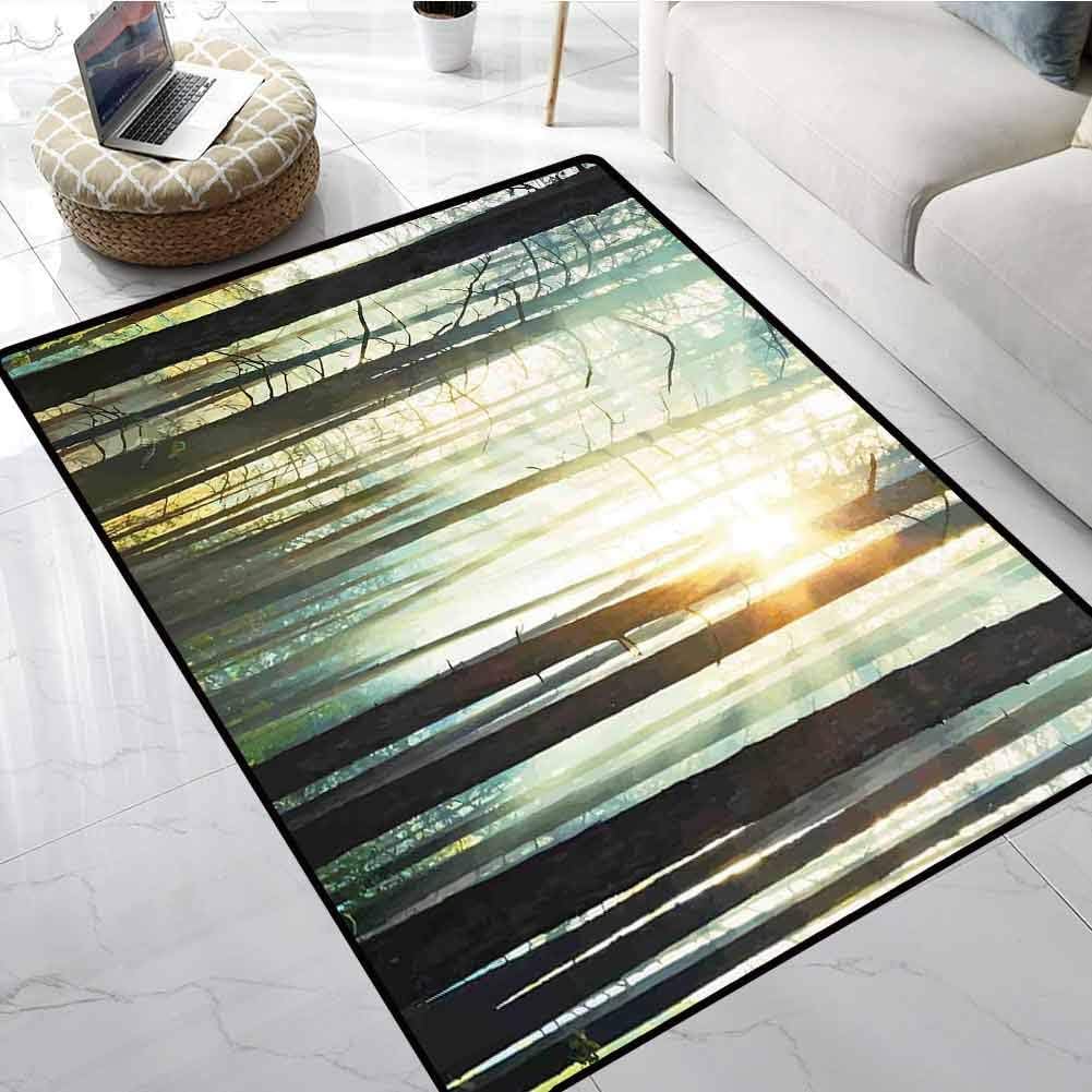LilyDecorH Country Carpet flooring Fairy Foggy Forest Mist in the Woods Enchanted Wilderness with Sunbeams Image Bathroom Rug Kitchen Carpet 60 x 72 Inch